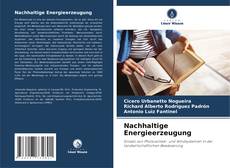 Couverture de Nachhaltige Energieerzeugung