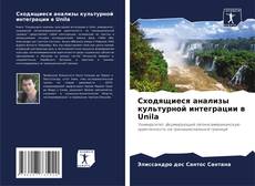 Bookcover of Сходящиеся анализы культурной интеграции в Unila