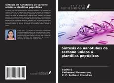 Capa do livro de Síntesis de nanotubos de carbono unidos a plantillas peptídicas 