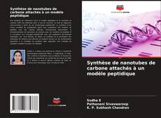 Portada del libro de Synthèse de nanotubes de carbone attachés à un modèle peptidique