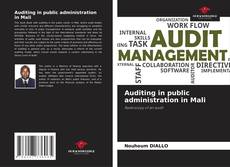 Auditing in public administration in Mali kitap kapağı