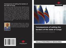 Consequences of setting the borders of the state of Congo kitap kapağı
