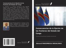 Consecuencias de la fijación de las fronteras del Estado del Congo kitap kapağı
