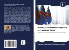 Buchcover von Последствия фиксации границ государства Конго