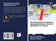 Buchcover von Исследование микробов, продуцирующих кислые протеазы из почвы