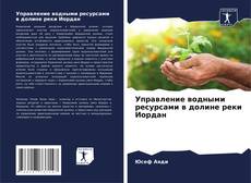 Buchcover von Управление водными ресурсами в долине реки Иордан