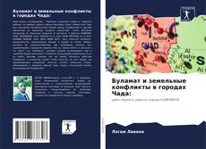 Buchcover von Буламат и земельные конфликты в городах Чада: