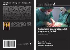 Copertina di Abordajes quirúrgicos del esqueleto facial