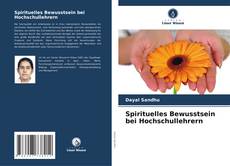 Bookcover of Spirituelles Bewusstsein bei Hochschullehrern