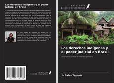 Los derechos indígenas y el poder judicial en Brasil kitap kapağı