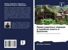 Bookcover of Права коренных народов и судебная власть в Бразилии