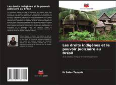 Les droits indigènes et le pouvoir judiciaire au Brésil的封面
