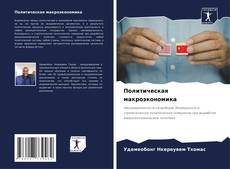 Buchcover von Политическая макроэкономика