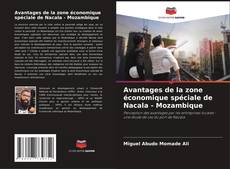 Avantages de la zone économique spéciale de Nacala - Mozambique kitap kapağı