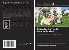 Buchcover von Reproducción de la hembra bovina