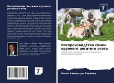 Buchcover von Воспроизводство самок крупного рогатого скота