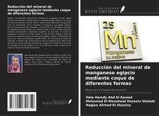 Bookcover of Reducción del mineral de manganeso egipcio mediante coque de diferentes formas