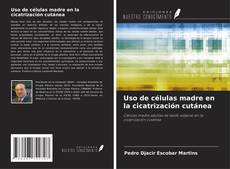 Uso de células madre en la cicatrización cutánea kitap kapağı