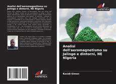 Analisi dell'aeromagnetismo su Jalingo e dintorni, NE Nigeria kitap kapağı