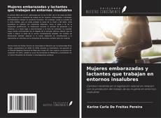 Buchcover von Mujeres embarazadas y lactantes que trabajan en entornos insalubres