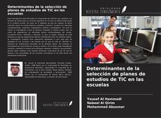 Couverture de Determinantes de la selección de planes de estudios de TIC en las escuelas