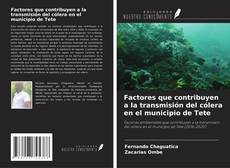 Copertina di Factores que contribuyen a la transmisión del cólera en el municipio de Tete