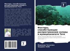 Buchcover von Факторы, способствующие распространению холеры в муниципалитете Тете