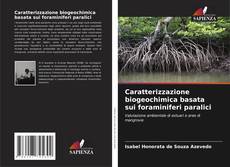 Caratterizzazione biogeochimica basata sui foraminiferi paralici kitap kapağı