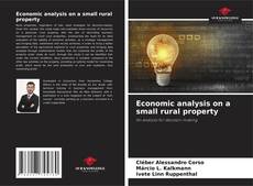 Economic analysis on a small rural property kitap kapağı