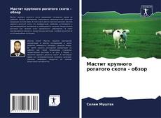 Buchcover von Мастит крупного рогатого скота - обзор