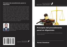 Couverture de Principios del procedimiento penal en Afganistán