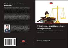 Principes de procédure pénale en Afghanistan kitap kapağı