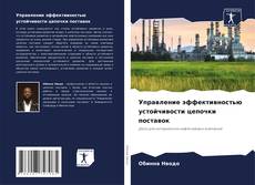 Buchcover von Управление эффективностью устойчивости цепочки поставок