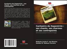 Cachoeiro de Itapemirim : ses chants, ses charmes et ses contrepoints kitap kapağı