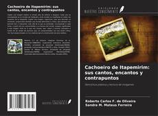Copertina di Cachoeiro de Itapemirim: sus cantos, encantos y contrapuntos