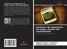 Cachoeiro de Itapemirim: its songs, charms and counterpoints kitap kapağı