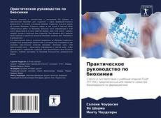 Bookcover of Практическое руководство по биохимии