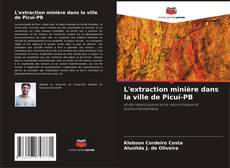 L'extraction minière dans la ville de Picuí-PB kitap kapağı