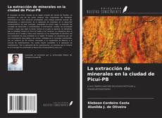 Buchcover von La extracción de minerales en la ciudad de Picuí-PB