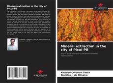 Capa do livro de Mineral extraction in the city of Picuí-PB 