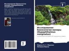 Bookcover of Исследование биоэкологии мапары (Hypophthalmus marginatus)