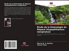 Étude de la bioécologie du Mapará (Hypophthalmus marginatus) kitap kapağı