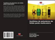 Synthèse de polymères de faible poids moléculaire kitap kapağı