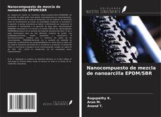 Nanocompuesto de mezcla de nanoarcilla EPDM/SBR的封面