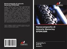 Nanocomposito di miscela Nanoclay EPDM/SBR kitap kapağı