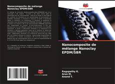 Nanocomposite de mélange Nanoclay EPDM/SBR kitap kapağı