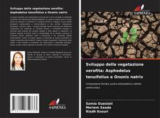 Sviluppo della vegetazione xerofita: Asphodelus tenuifolius e Ononis natrix kitap kapağı