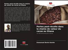 Pertes post-récolte dans la chaîne de valeur du cacao au Ghana kitap kapağı