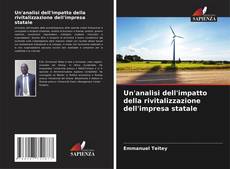 Bookcover of Un'analisi dell'impatto della rivitalizzazione dell'impresa statale