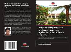 Capa do livro de Modèle d'exploitation intégrée pour une agriculture durable au Nigeria 